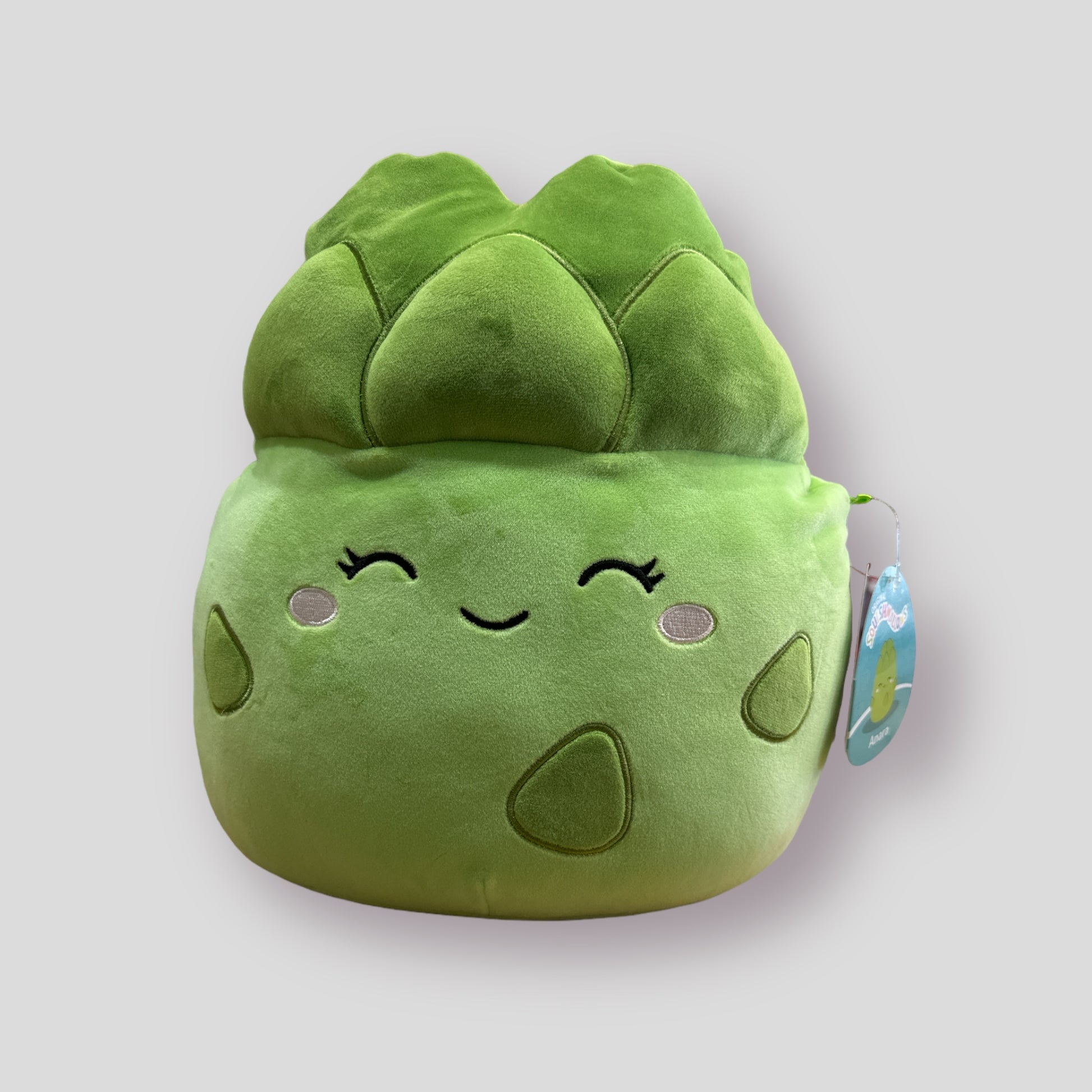 Squishmallows Veggie Squad 5 Anara