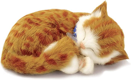 Perfect Petzzz Orange Tabby