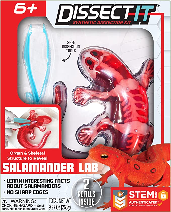 Dissect-It Simulated Synthetic Lab - Salamander