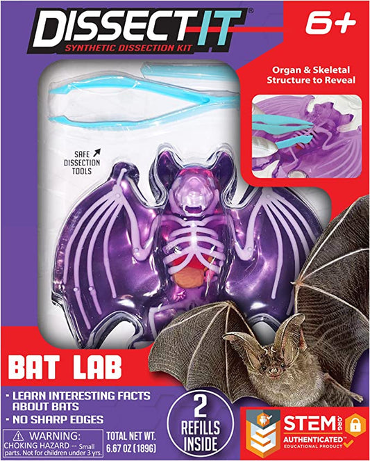 Dissect-It Bat Lab