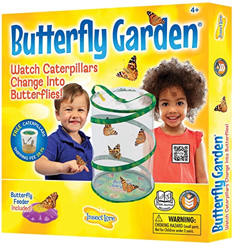 Butterfly Garden