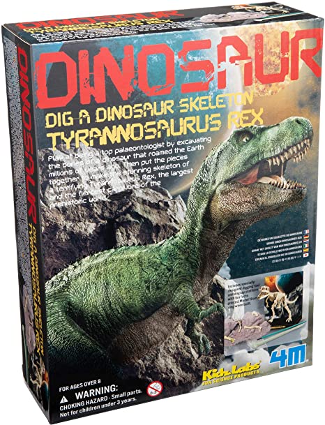 Dig a Dinosaur Skeleton