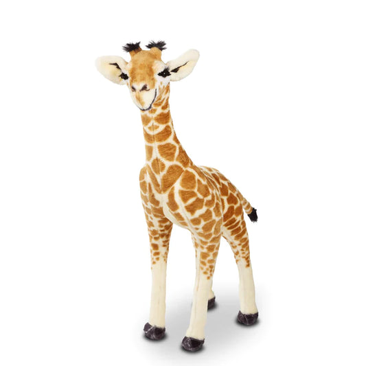 Standing Baby Giraffe